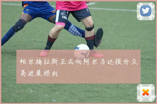 帕尔梅拉斯正式向阿尔马达报价交易进展顺利